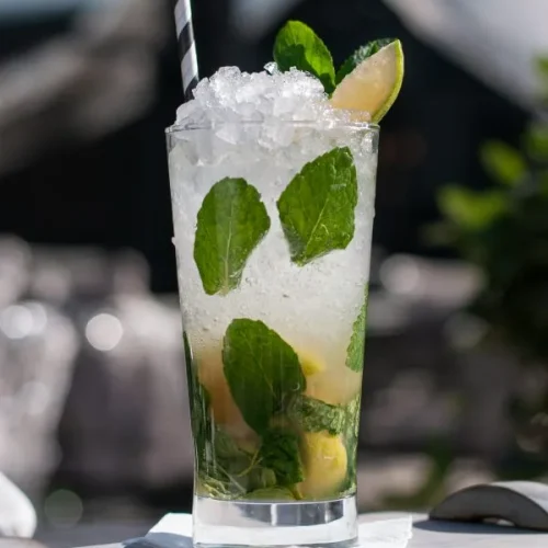 Lemon Mint Mojito