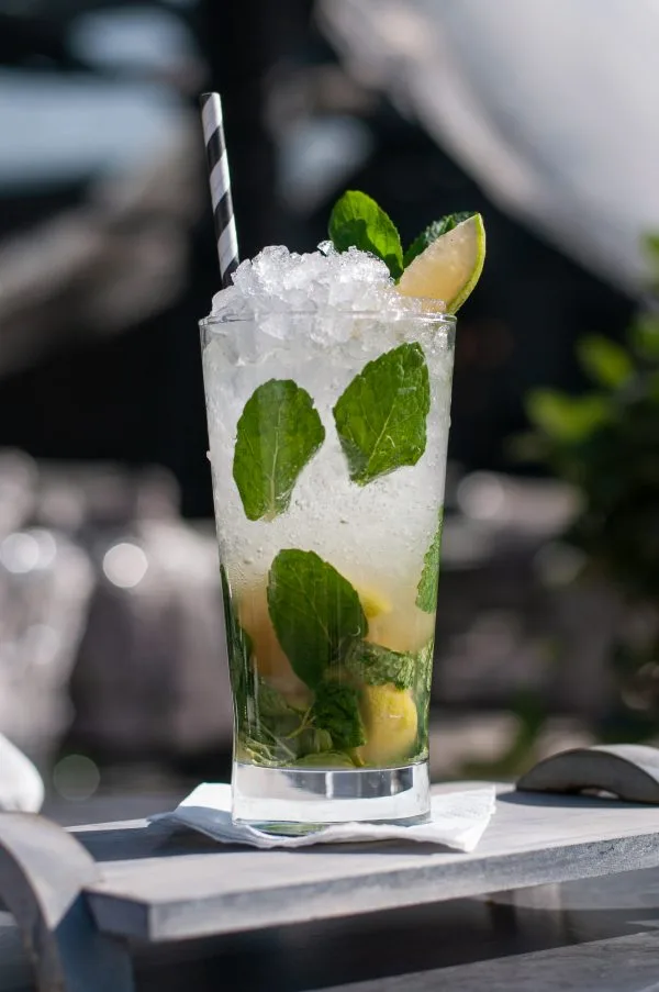 Lemon Mint Mojito